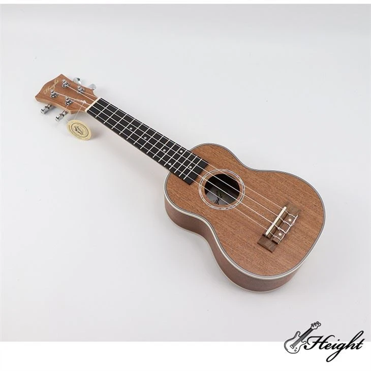 21 Inch Soprano Ukulele With Ukulele Accessories With Gig Bag