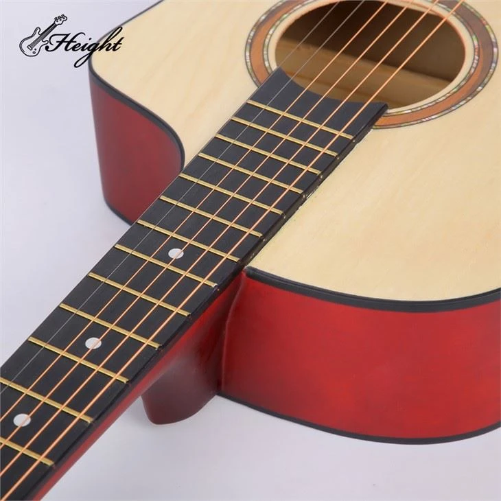 Ashton Drawing Binding Acoustic Guitar